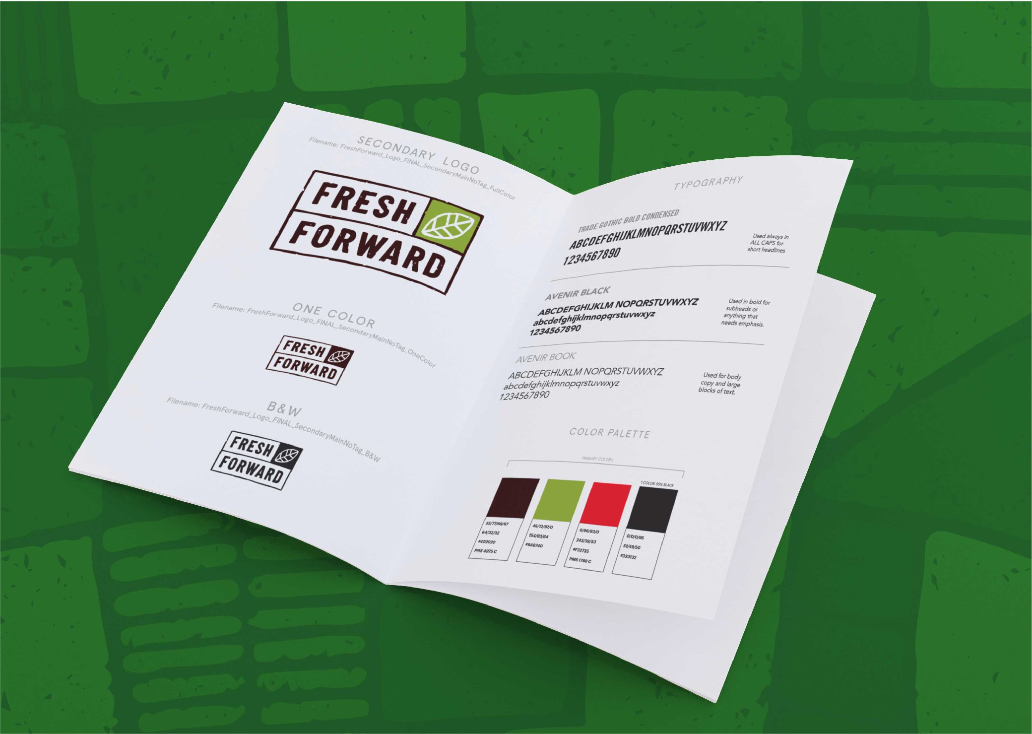 FF Case Study Design