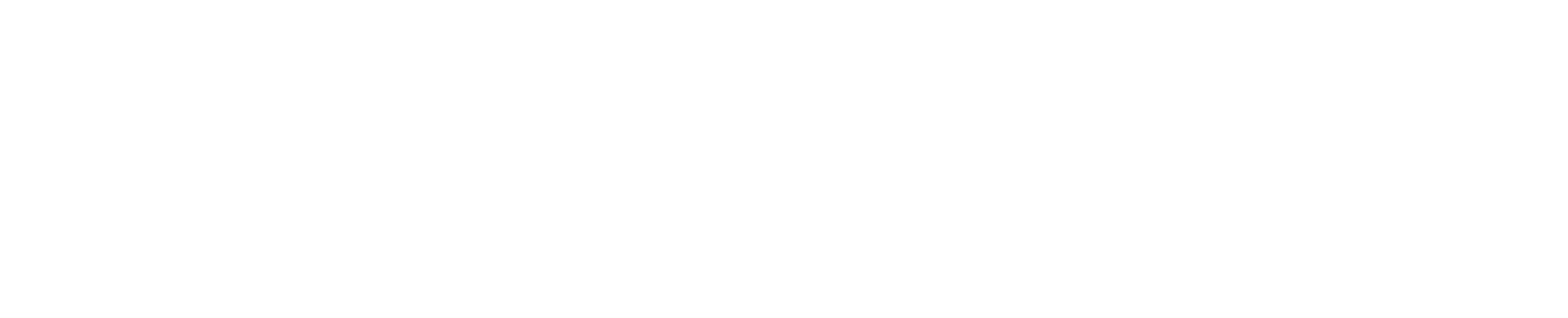 FunctionalReport-01-01_uKQR5xy.original Functional Report