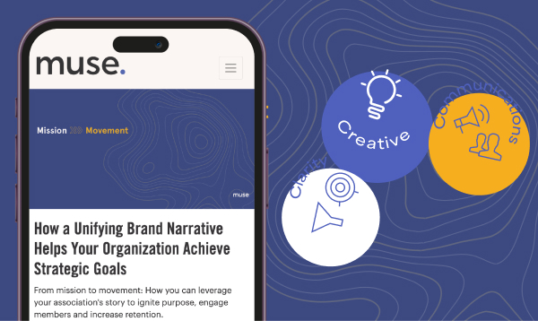 Our Insights