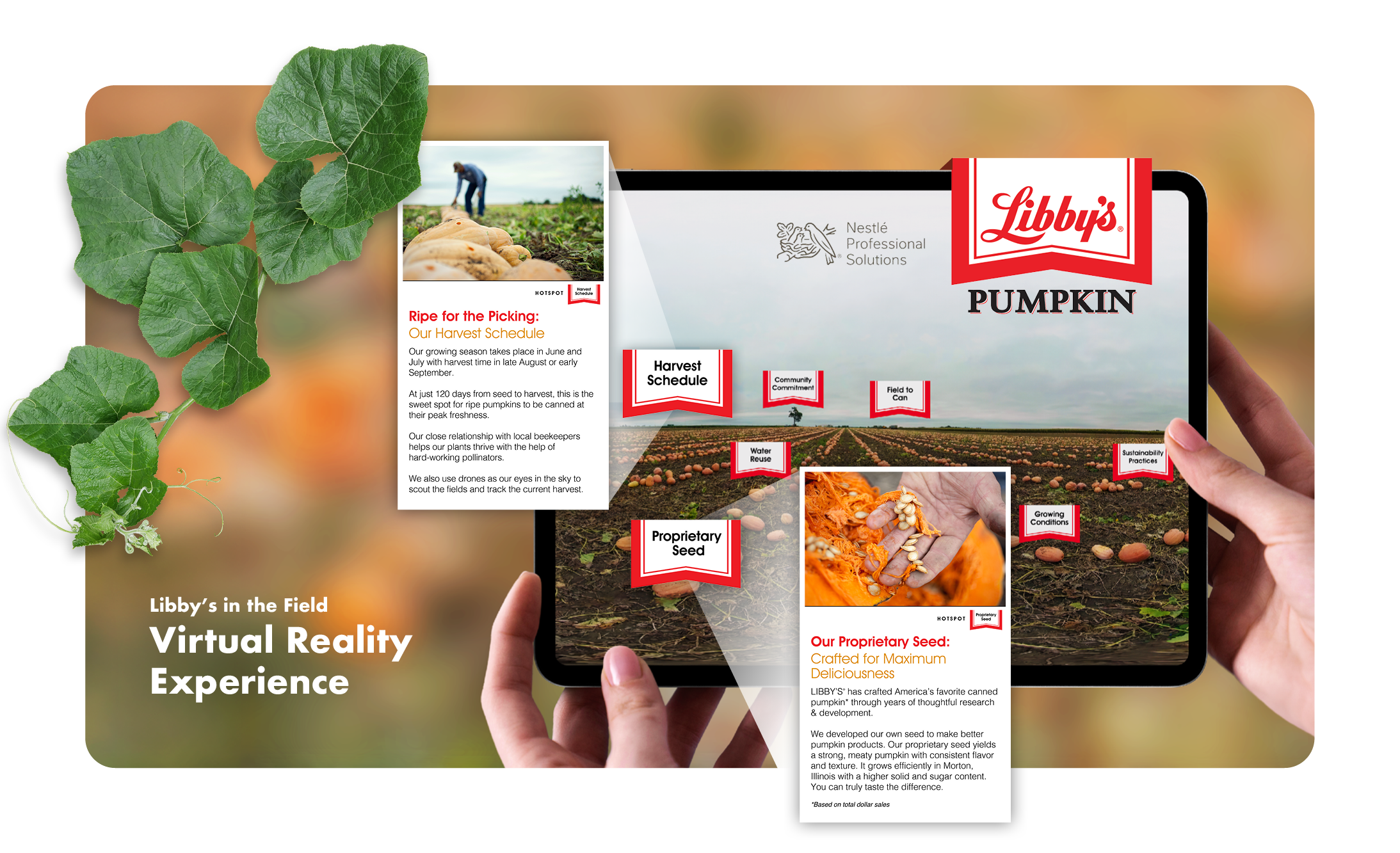 MUSE Nestlé Professional Libby's Pumpkin Virtual Reality Campaign