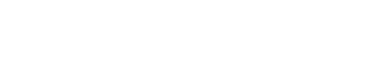 Branding Services & Content Marketing